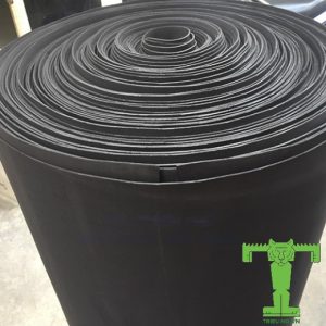 Mút cao su xốp EVA dạng cuộn